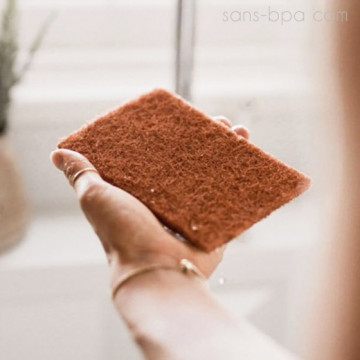 Lot 4 éponges coco à récurer compostables 2