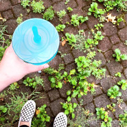 2 couvercles anti-éclaboussures à paille - Mint