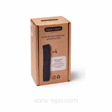 Lot 5 charbons Actif Binchotan 2