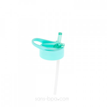 Gourde paille inox 525ml - Paresseuse 2