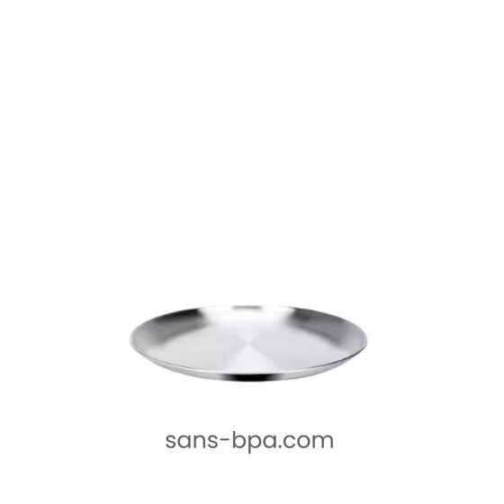 Lot 2 assiettes plates inox 26 cm