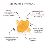 Tétine Physiologique 3 m+ - VOITURE - HEVEA