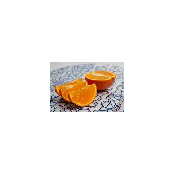 Lot 2 Kozy Cristal - Ocean - KIDS KONSERVE