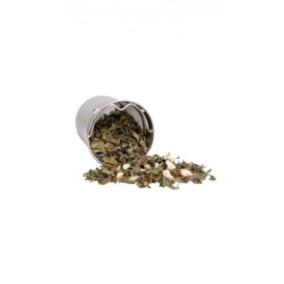 Filtre long inox - Qwetch