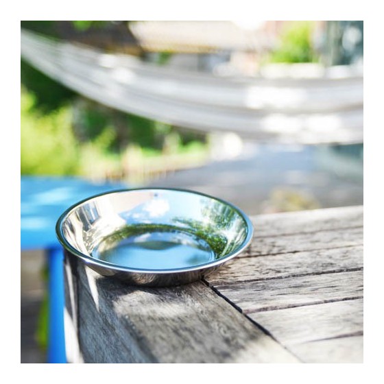 Assiette à bords inox - Small - ONYX