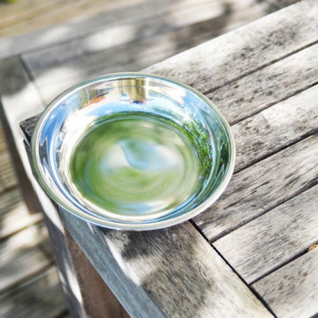 Assiette à bords inox - Médium - ONYX