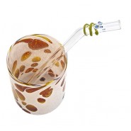 Paille verre Enfant Courbe Courte BOYS - Strawesome