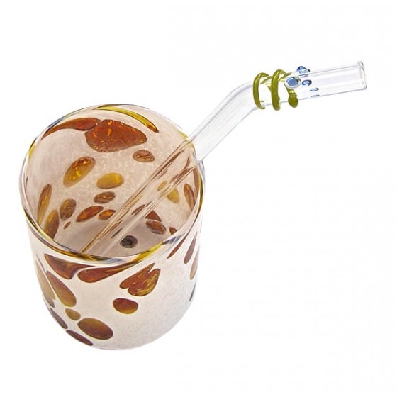 Paille verre Enfant Courbe Courte BOYS - Strawesome