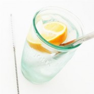 Goupillon pour paille - U Konserve