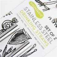 Lot 2 pailles inox - U Konserve