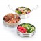 Tiffin Tri Bento