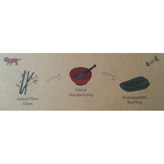 Bac à littière sans plastique Nature - BECOTHINGS