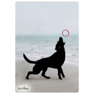 Anneau de jeu chien S - BECOHOOP