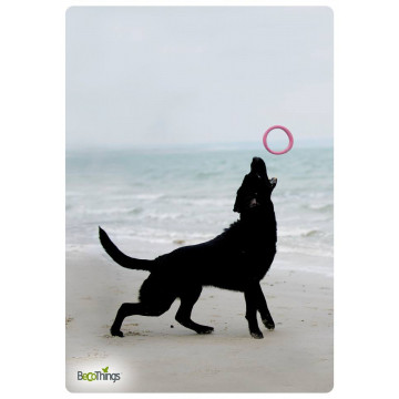 Anneau de jeu chien S - BECOHOOP 2