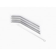 Lot 4 pailles inox COURTES