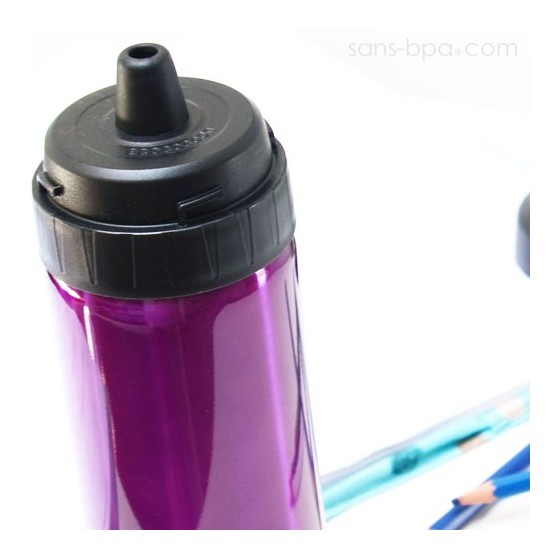 Gourde inox isotherme anti-fuite Cocoon 500 ml - Myrtille - Ecococoon