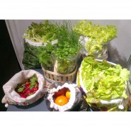 Sac à salades - Modèle Sabzy GRAND