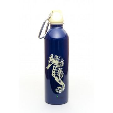 Gourde inox 600 ml PAON