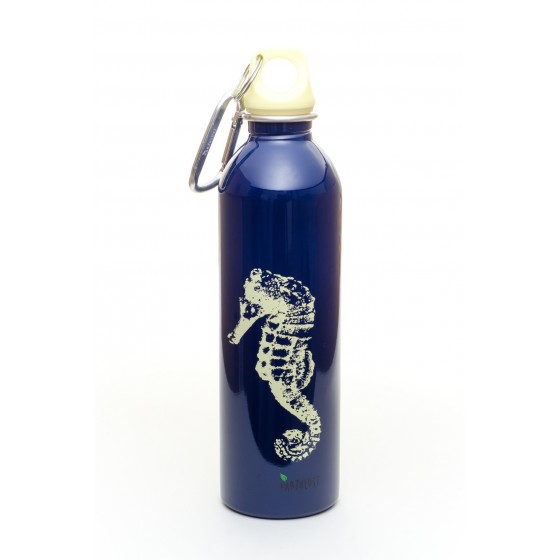 Gourde inox 600 ml PAON