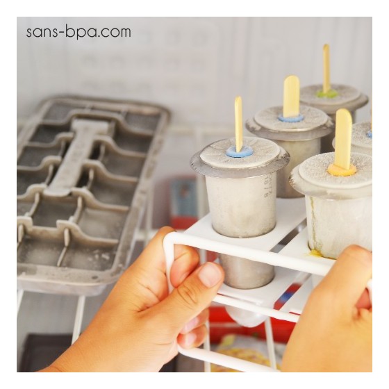Bac à Glaçons 100% INOX