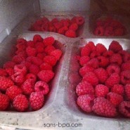 Plateau repas inox RECTANGLE