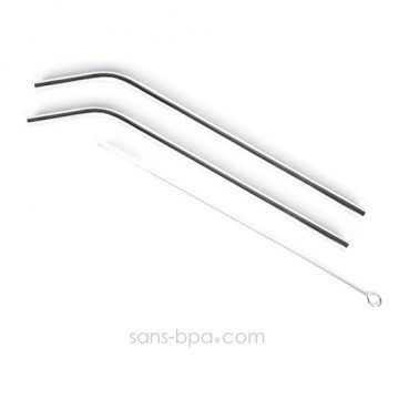 Lot 2 Pailles inox SMOOTHIES