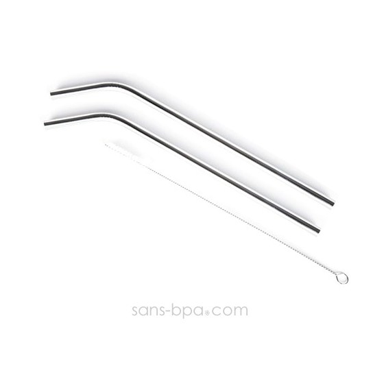 Lot 2 Pailles inox SMOOTHIES