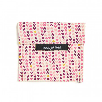 Pochette Classic' PLANE