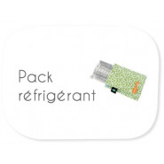 Pack réfrigérant